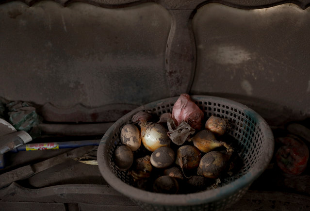 Onions are seen at a house affected by the eruption of the Fuego volcano at San Miguel Los Lotes in Escuintla, Guatemala, June 8, 2018. (Photo by Carlos Jasso/Reuters)