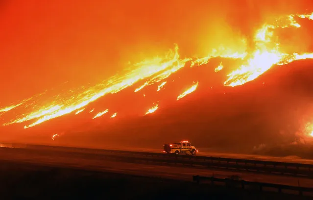 In this photo provided by Ryan Cullom, a Ventura County Fire Department engine holds its positions as fire overruns state Highway 101 near Ventura, Calif., Saturday, December 26, 2015. A wind-whipped wildfire closed a major coastal highway in Southern California and forced dozens of homes to be evacuated, authorities said Saturday. (Photo by Ryan Cullom via AP Photo)