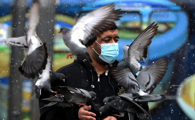 A man wearing a face mask feeds pigeons in the center of Sarajevo after the introduction of restrictive measures, a curfew at night and the closure of restaurants, during the coronavirus pandemic in Sarajevo, Bosnia and Herzegovina, 22 March 2021. (Photo by Fehim Demir/EPA/EFE)
