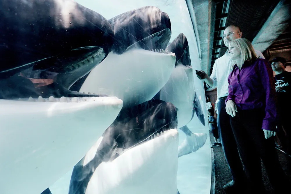 The Week in Pictures: Animals, August 10 – August 30, 2013. Part 2