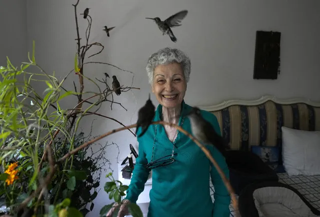 Catia Lattouf poses for a photo with hummingbirds in her care, in her apartment that she has turned into a makeshift clinic for the tiny birds, in Mexico City, Monday, August 7, 2023. Lattouf who has some 60 hummingbirds under her care, has become a reference source for bird lovers, amateur and professional alike, across Mexico and other parts of Latin America. (Photo by Fernando Llano/AP Photo)