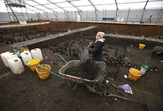 An archaeologist from the University of Cambridge Archaeological Unit, shovels earth while uncovering Bronze Age wooden houses, preserved in silt, from a quarry near Peterborough, Britain, January 12, 2016. (Photo by Peter Nicholls/Reuters)