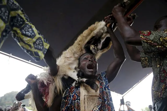 A devotee holds up a ram before killing it as a sacrifice in front of a shrine at the annual voodoo festival in Ouidah, Benin, January 10, 2016. (Photo by Akintunde Akinleye/Reuters)