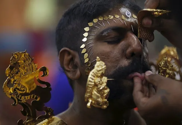 A devotee has his tongue pierced during Thaipusam festival in Singapore January 24, 2016. (Photo by Edgar Su/Reuters)