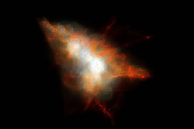 A handout photo released on September 19, 2016 by the European Southern Observatory shows a snapshot from a cosmological simulation of a Lyman-alpha Blob similar to LAB-1. This simulation tracks the evolution of gas and dark matter using one of the latest models for galaxy formation running on the NASA Pleiades supercomputer. This view shows the distribution of gas within the dark matter halo, colour coded so that cold gas (mainly neutral hydrogen) appears red and hot gas appears white. Embedded at the centre of this system are two strongly star-forming galaxies, but these are surrounded by hot gas and many smaller satellite galaxies that appear as small red clumps of gas here. Lyman-alpha photons escape from the central galaxies and scatter off the cold gas associated with these satellites to give rise to an extended Lyman-alpha Blob. (Photo by J. Geach/D. Narayanan/R. Crain/AFP Photo/European Southern Observatory)