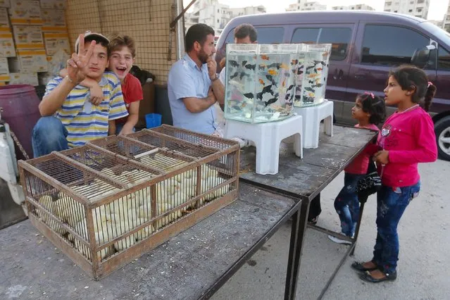 A boy gestures near stalls where fish and chicks are displayed for sale during the Muslim festival of Eid-al-Adha in Idlib city, Syria September 24, 2015. (Photo by Ammar Abdullah/Reuters)