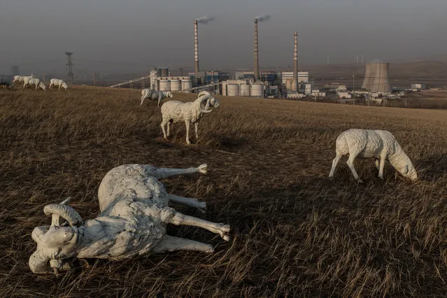 Statues of sheep in a park overlooking a coal fuelled power plant in Holingol. Herders have been forcefully removed from the grassland around Holingol due to severe pollution affecting the health of their livestock. (Photo by Gilles Sabrie/The Washington Post)