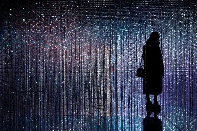 A visitor poses at a digital installation which is a part of “Dance! Art Exhibition, Learn & Play!” by Japanese group teamLab in Taipei, Taiwan January 16, 2017. (Photo by Tyrone Siu/Reuters)