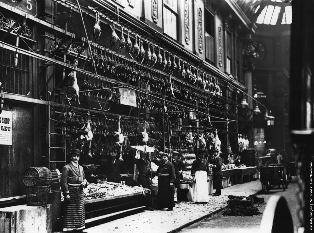 Hunting And Fishing. Part III