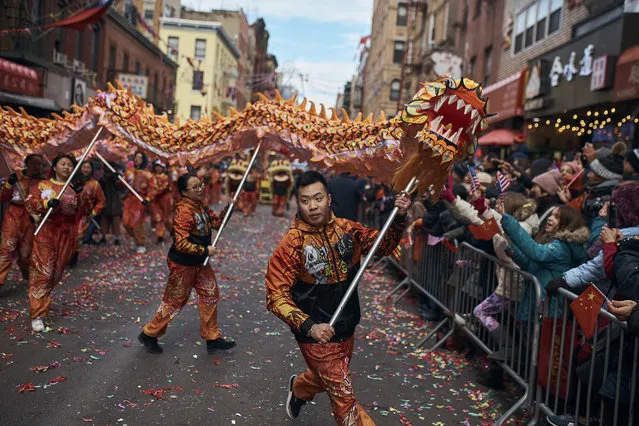 A member of a dragon dance group carries the head of the dragon during the Chinese Lunar New Year parade in Chinatown in New York, Sunday, February 17, 2019. (Photo by Andres Kudacki/AP Photo)