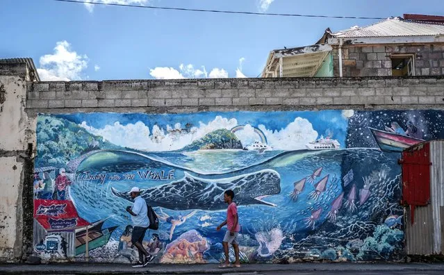 People walk past a mural of a whale created by artist Marcus Cuffi in Roseau, Dominica, Sunday, November 12, 2023. The tiny island of Dominica announced on Nov. 13, 2023 that it is creating the world’s first marine protected area for one of earth’s largest animals: the endangered sperm whale. (Photo by Clyde K Jno-Baptiste/AP Photo)