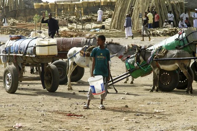 People use barrels mounted on donkey-pulled carts to transport water in the southern Sudanese city of Gadaref on April 21, 2024. (Photo by Ebrahim Hamid/AFP Photo)