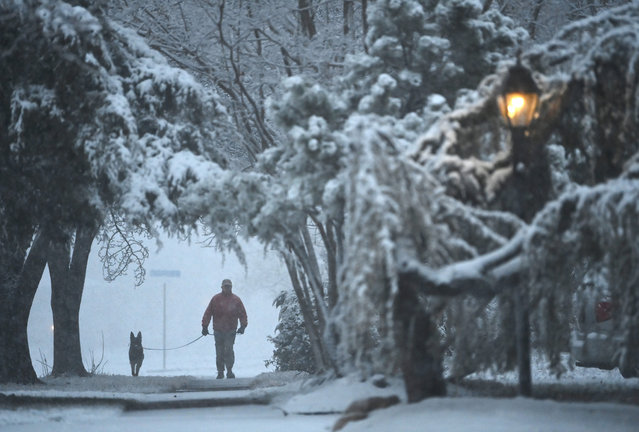 A pedestrian walks a dog along Carrleigh Parkway as snow falls on Monday January 03, 2022 in Springfield, VA. (Photo by Matt McClain/The Washington Post)