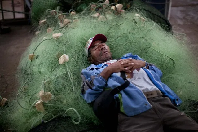 A small scale fishermen naps on a jumble of fishing nets in Lima, Peru, Wednesday, April 2, 2014. Chilean authorities discovered surprisingly light damage Wednesday from a magnitude-8.2 quake that struck in the Pacific Ocean, Tuesday evening, near the mining port of Iquique, about 87 miles from the Peruvian border. Tsunami warnings issued for Chile, Peru and Ecuador have been lifted. Six deaths have been reported. (Photo by Rodrigo Abd/AP Photo)