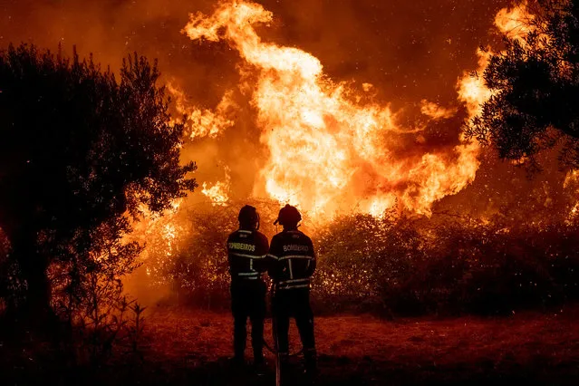 Fighters try to extinguish a wildfire near Cardigos village, in central Portugal on Sunday, July 21, 2019. About 1,800 firefighters were struggling to contain wildfires in central Portugal that have already injured people, including several firefighters, authorities said Sunday. (Photo by Sergio Azenha/AP Photo)