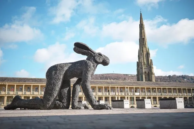 “Crawling Lady-Hare” by British sculptor Sophie Ryder is displayed in the courtyard of the historic Piece Hall on February 10, 2022 in Halifax, England. “Dances Hares” has never been exhibited publicly in the UK before and forms the centre piece of Ryder's exhibition of monumental art. The sculptures are on display until 23 May where they can be viewed by the public free of charge. (Photo by Christopher Furlong/Getty Images)
