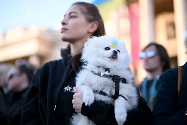 A woman holds a dog with the colours of the Ukrainian flag painted on it's forehead during a demonstration in support of Ukraine in Trafalgar Square on February 27, 2022 in London, England. Russia's large-scale invasion of Ukraine has killed scores and prompted a wave of protests across Europe. (Photo by Leon Neal/Getty Images)