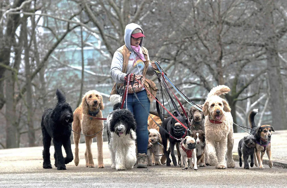 USA last Week, Part 1/2