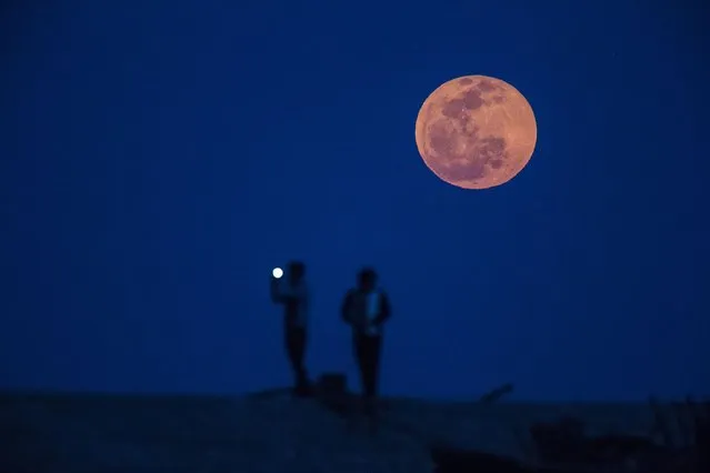 A man takes a picture during moon rise in a suburb of Shanghai April 15, 2014. (Photo by Aly Song/Reuters)