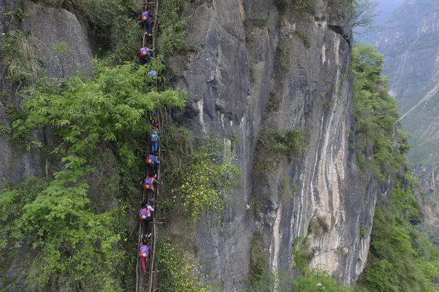 In this Saturday, May 14, 2016 photo, children wearing their school backpacks climb on a cliff on their way home from school in Zhaojue county, southwest China's Sichuan province. (Photo by Chinatopix via AP Photo)