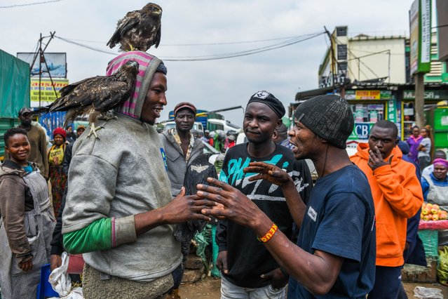 People show interest to raptors belonged to 26-year-old Rogers Magutha, known as 'Street Bird Man', on a street in Nairobi, Kenya on August 1, 2024. Magutha earns money by taking photos of birds, which he takes care of, with tourists. (Photo by Gerald Anderson/Anadolu via Getty Images)