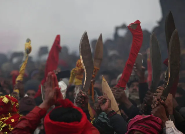 Hindu devotees raise their sacrificial blades as they gather to sacrifice buffalos during Gadhimai festival in Bariyarpur in Bara district 80 miles (50 miles) south of Kathmandu, Nepal, Tuesday, December 3, 2019. (Photo by Samir Shrestha/AP Photo)