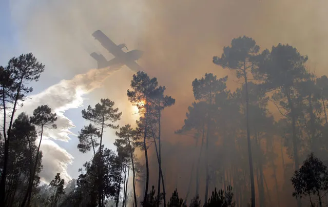 An aircraft dumps water over a wildfire in Ourem, central Portugal, 04 August 2015. The fire is being fought by 125 firemen and four airplanes. (Photo by Paulo Cunha/EPA)