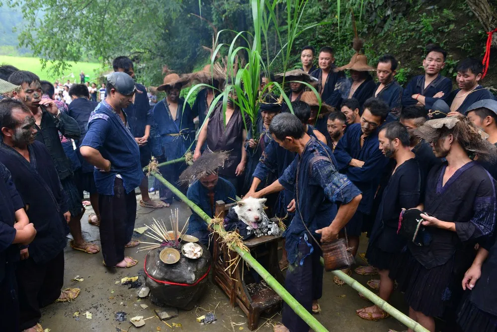 “Dog Carrying Day”