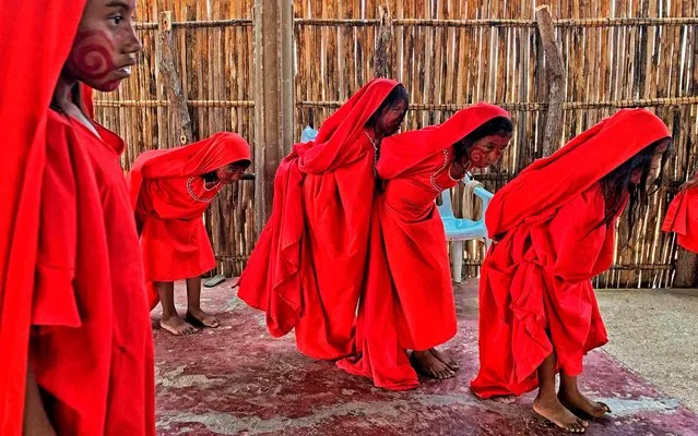 Wayuu girls perform the traditional La Yonna dance, in Tres Bocas, northern Colombia, on March 13, 2020. (Photo by Juan Barreto/AFP Photo)