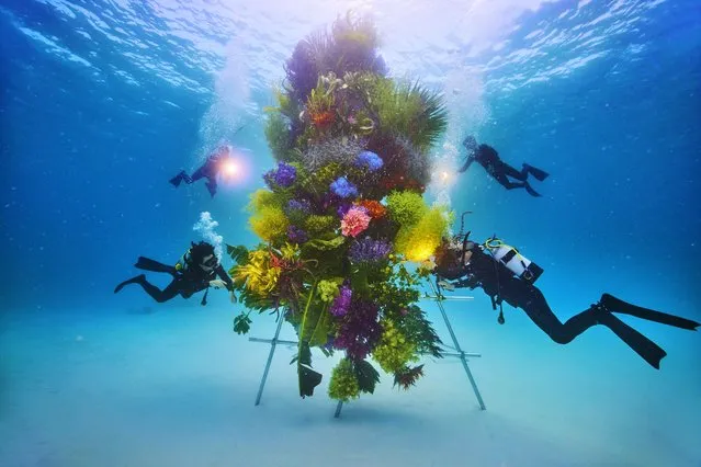 These images show Japanese artist Azuma Makoto's amazing undersea flower artwork “Botanical sculpture x In Bloom project Sea #2” in Okinawa, Japan on September 8, 2022. (Photo by Azuma Makoto/Shiinoki Shunsuke/AMKK/Cover Images)