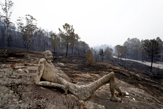 A burnt sculpture is seen after a forest fire in As Neves, Galicia, Spain, near the border with Portugal, 16 October 2017. Three people have died as several forest fires are still active in Galicia burning more than 4,000 hectares, and they are aggravated with high temperatures and drought. (Photo by EPA/Cabalar)