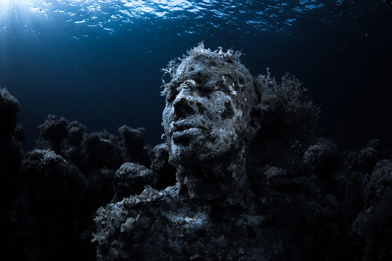 Безмолвная бездна. Musa подводный музей. Канкун Мексика подводный музей. Дно океана. Страшное дно океана.
