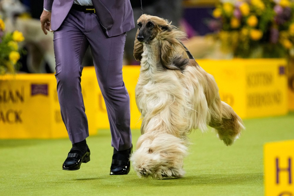 USA last Week, Part 2/3