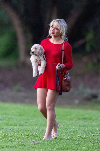 Pop star Sabrina Carpenter was spotted at a Hollywood Hills Park in Los Angeles on May 22, 2025 looking radiant in a sheer red dress, cradling her adorable new puppy. Joined by friends for a laid-back afternoon, the singer completed her chic look with a Loewe handbag, effortlessly blending glam with casual charm. (Photo by Backgrid USA)