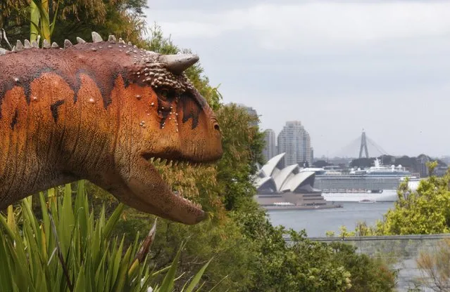 Sydney's Opera House and the cruise ship Celebrity Solstace is pictured alongside a life-size animatronic Carnotaurus dinosaur at Taronga Zoo in Sydney November 4, 2014. Sixteen life-size animatronic dinosaurs which move and produce sound have been put on display at the zoo to teach visitors about extinction and adaptation, as well as bring attention to animals which currently face extinction themselves. (Photo by Jason Reed/Reuters)