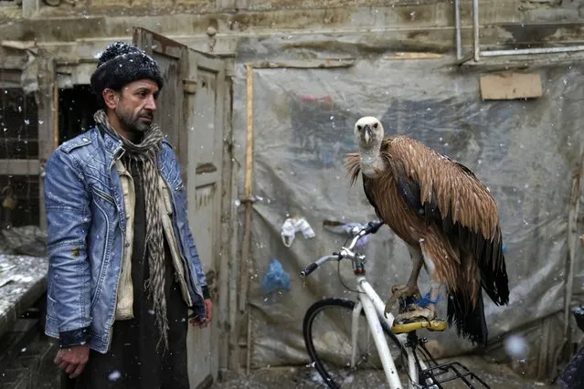An Afghan bird seller sells a vulture at a bird market during snowfall in Kabul, Afghanistan, Thursday, December 29, 2022. (Photo by Ebrahim Noroozi/AP Photo)