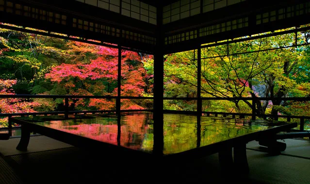 Autumn colours are seen at Rurikoin Temple on November 20, 2017 in Kyoto, Japan. (Photo by The Asahi Shimbun via Getty Images)