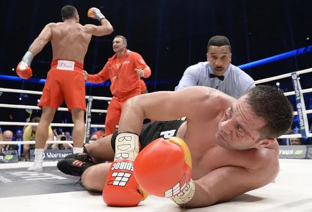 Challenger Bulgarian heavyweight boxer Kubrat Pulev (R) lies in the ring after being knocked down by Ukrainian WBA, WBO, IBO and IBF heavyweight boxing world champion Vladimir Klitschko (L), who celebrates with his brother Vitali (2nd L), as referee Tony Weeks checks on him after their title fight in Hamburg, November 15, 2014. (Photo by Fabian Bimmer/Reuters)