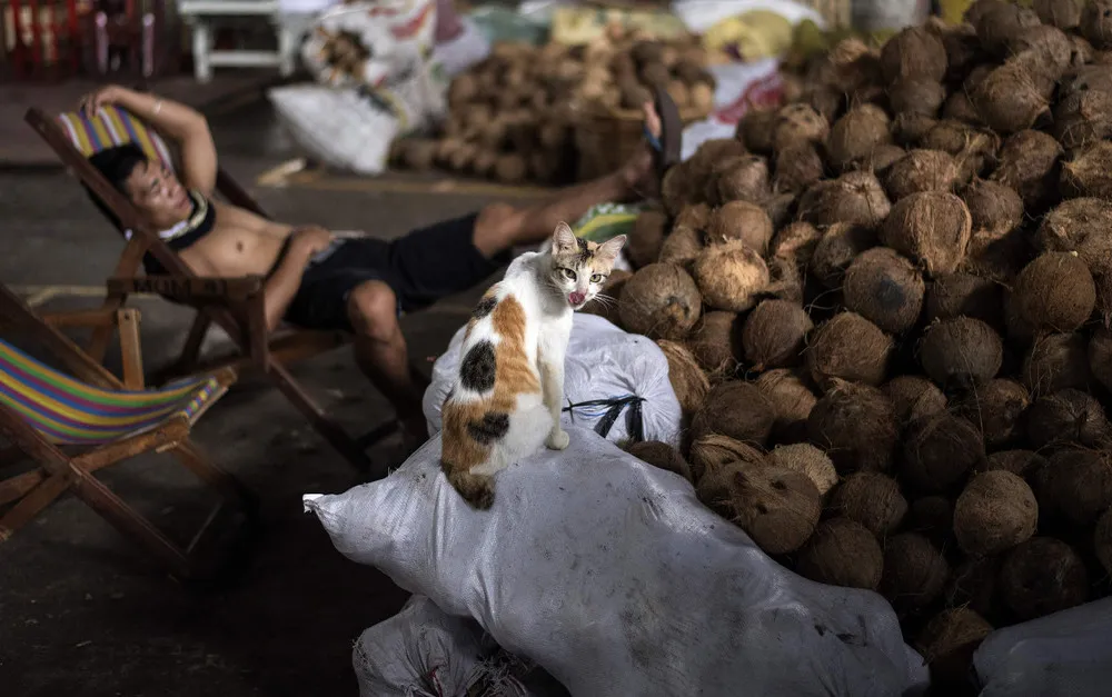 Markets around the World