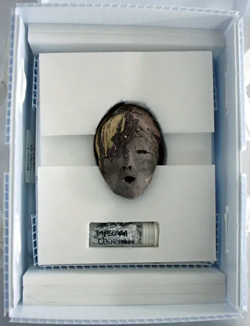 The mummified head of a fetus from the Chinchorro tribe lies in a special box inside Azapa's San Miguel Museum in Arica city, north Santiago in this October 27, 2005 file picture. (Photo by Ivan Alvarado/Reuters)