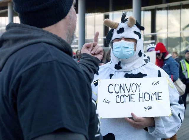 An opponent of coronavirus disease (COVID-19) vaccine and mask mandates makes a rude gesture to a counter-protester wearing a cow suit during a rally in downtown Vancouver, British Columbia, Canada on March 19, 2022. (Photo by Jennifer Gauthier/Reuters)