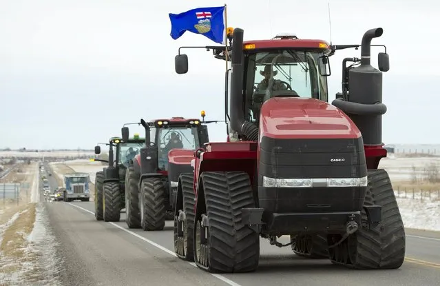 A long convoy of farmers and ranchers driving tractors, sprayers, combines and trucks travel from Fort Macleod north on Highway 2 to Okotoks December 2, 2015 to meet with provincial Labour Minister Lori Sigurdson and Agriculture Minister Oneil Carlier. Alberta's government will retool a bill that would overhaul workplace standards on farms in Canada's biggest cattle-producing province, its agriculture minister said, after protests by farmers and ranchers. (Photo by Mike Sturk/Reuters)