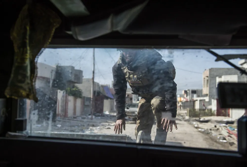 The Day in Photos – November 12, 2016