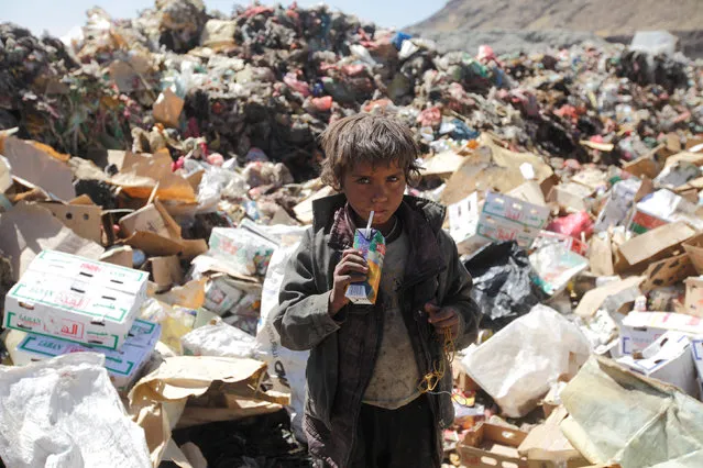A boy drinks  expired juice on a pile of rubbish at landfill site on the outskirts of Sanaa, Yemen November 16, 2016. (Photo by Mohamed al-Sayaghi/Reuters)