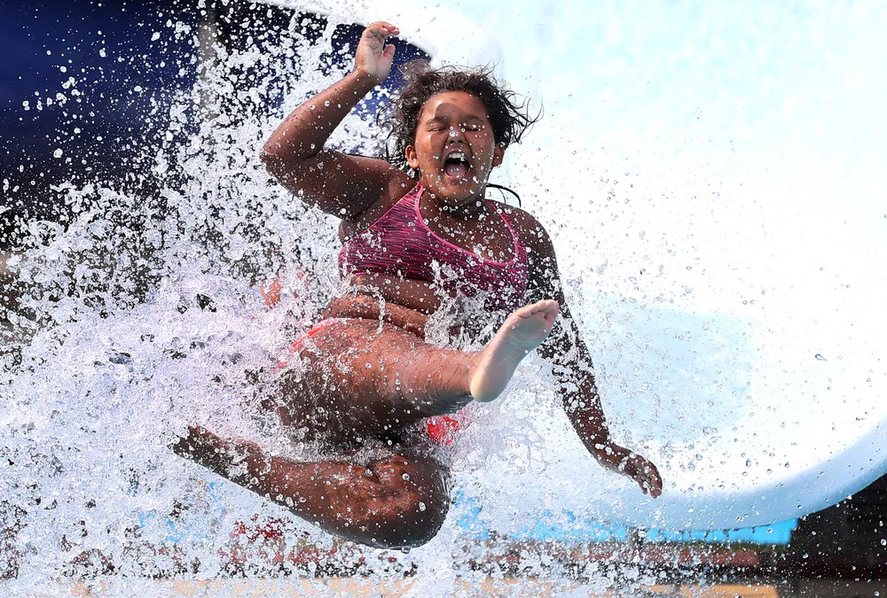 Some Photos: In Motion