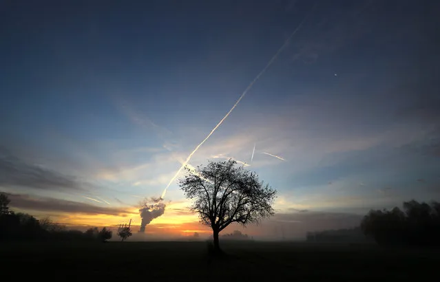 A tree stands on a field near the Uniper coal power plant of power in Hanau, Germany, November 23, 2016. (Photo by Kai Pfaffenbach/Reuters)